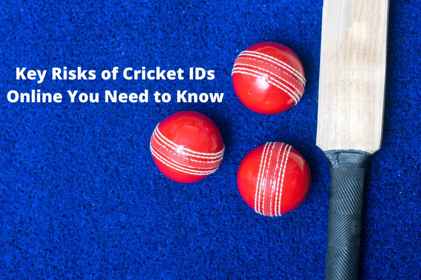 Read more about the article Key Risks of Cricket IDs Online You Need to Know
