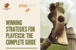 Read more about the article Winning Strategies for PlayExch: The Complete Guide