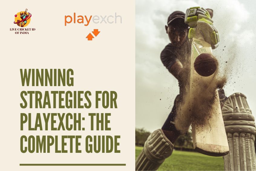 You are currently viewing Winning Strategies for PlayExch: The Complete Guide